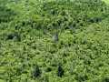 Wausau Land Real Estate