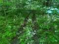 Wausau Land Real Estate