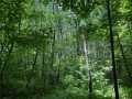 Wausau Land Real Estate