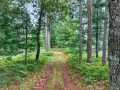 Danbury Residential Real Estate