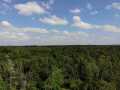 Augusta Land Real Estate