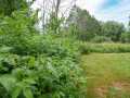 Gilman Residential Real Estate
