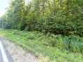 Birchwood Land Real Estate