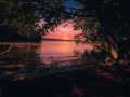 Birchwood Land Real Estate