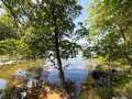 Birchwood Land Real Estate