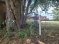 Neillsville Residential Real Estate
