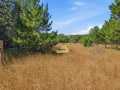 Chippewa Falls Residential Real Estate