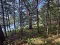 Shell Lake Land Real Estate