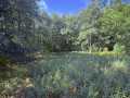 Shell Lake Land Real Estate