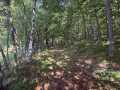 Shell Lake Land Real Estate
