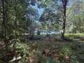 Shell Lake Land Real Estate