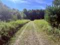 Shell Lake Land Real Estate