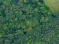 Property Photo 36
