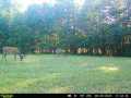Neillsville Residential Real Estate