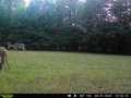 Neillsville Residential Real Estate