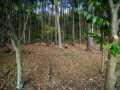 Boyceville Residential Real Estate
