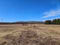 Rice Lake Land Real Estate