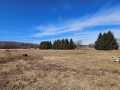 Rice Lake Land Real Estate