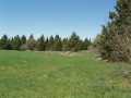 Glidden Land Real Estate