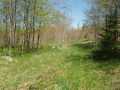 Glidden Land Real Estate