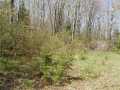 Glidden Land Real Estate