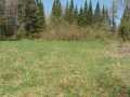 Glidden Land Real Estate