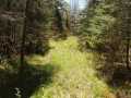 Glidden Land Real Estate