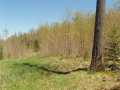 Glidden Land Real Estate