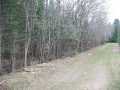 Glidden Land Real Estate