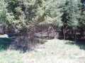 Glidden Land Real Estate