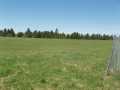 Glidden Land Real Estate