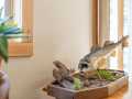 Winter Residential Real Estate