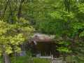Holcombe Residential Real Estate