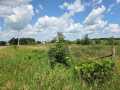 Barron Farm Real Estate