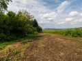 Mondovi Land Real Estate