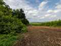 Mondovi Land Real Estate