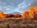 Colfax Residential Real Estate
