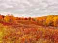 Colfax Residential Real Estate