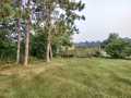 Chippewa Falls Residential Real Estate