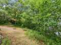 Birchwood Residential Real Estate