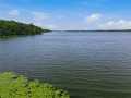 Birchwood Residential Real Estate