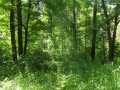 Shell Lake Land Real Estate