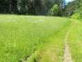 Shell Lake Land Real Estate