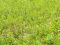 Shell Lake Land Real Estate