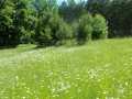 Shell Lake Land Real Estate