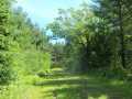 Shell Lake Land Real Estate