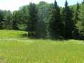 Shell Lake Land Real Estate