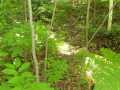 Shell Lake Land Real Estate