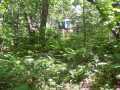 Shell Lake Land Real Estate