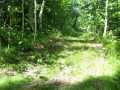 Shell Lake Land Real Estate